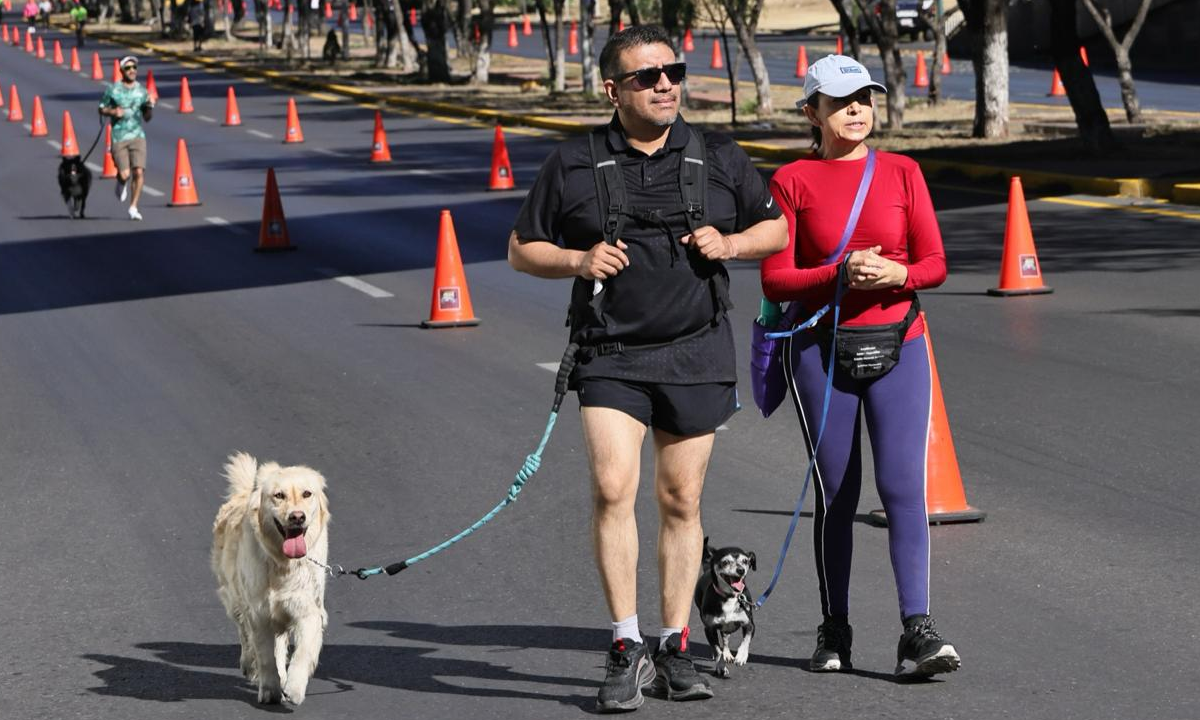 Este 5 de diciembre: pasea a tu lomito y apoya una causa