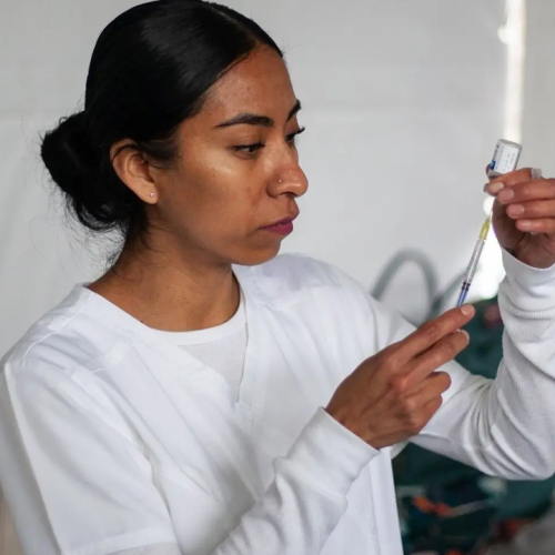 Aparece la influenza H3N2 en México: ¿debemos encender las alertas?