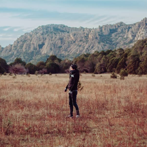 Luisinuay: indie zacatecano en el FCZ 2026