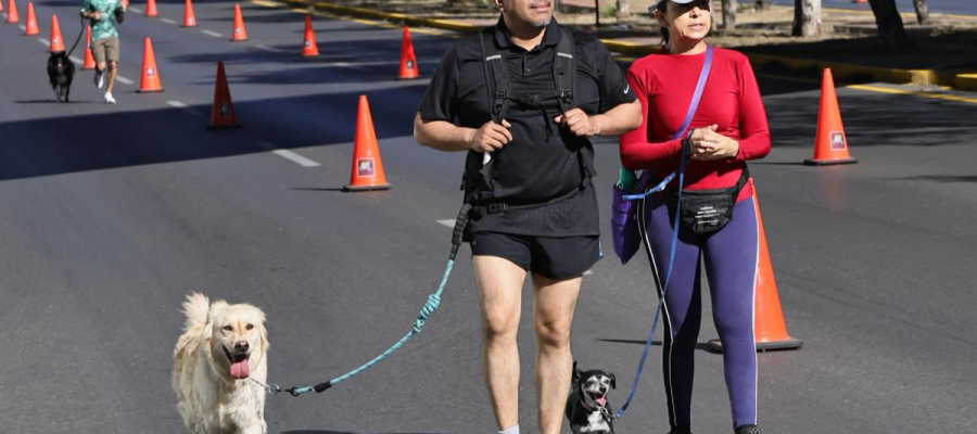 Este 5 de diciembre: pasea a tu lomito y apoya una causa